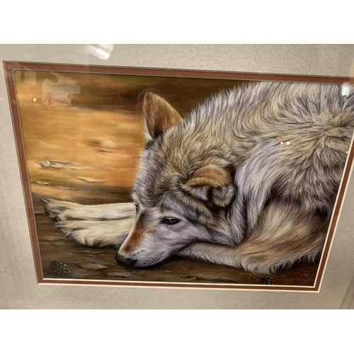 695 - A SUSAN BAXTER FRAMED PRINT 'SLEEPING WOLF' WHOLESALE PRICE £80