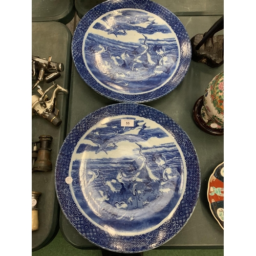 Lot 55        