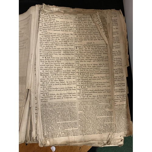 61 - A LARGE HEAVY VINTAGE FAMILY BIBLE (42X30X10CM) - SPINE REQUIRES REPAIR