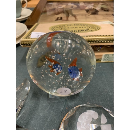 205 - THREE GLASS PAPERWEIGHTS, ONE IN THE SHAPE OF A STAR FISH