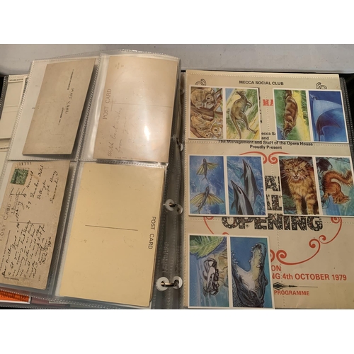 298 - TWO ALBUMS CONTAINING TELEPHONE CARDS, MATCH BOOKS, POSTCARDS ETC AND TWO GUIDE BOOKS