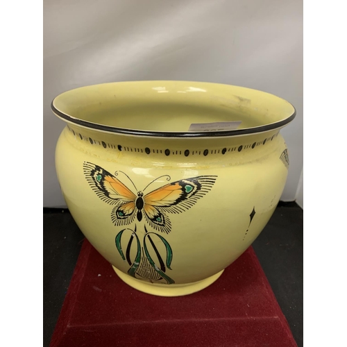 728 - A LARGE SHELLEY PLANTER WITH BUTTERFLY DECORATION (SOME HAIRLINE CRACKS TO THE BASE (D:26CM H:22CM)