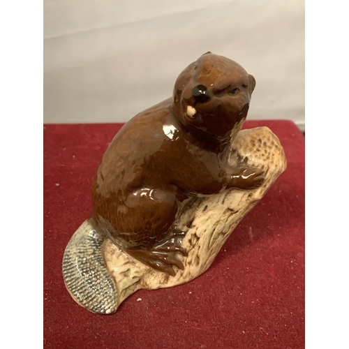 736 - A BESWICK BEAVER NUMBER 2195 FACING RIGHT