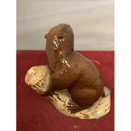 736 - A BESWICK BEAVER NUMBER 2195 FACING RIGHT