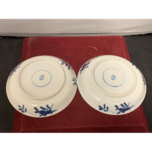 738 - A PAIR OF 18TH/19TH CENTURY CHINESE BLUE AND WHITE KANGXI PORCELAIN DISHES 'ARTEMESIA'