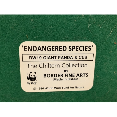 748 - A BORDER FINE ARTS THE CHILTERN COLLECTION 'ENDANGERED SPECIES' RW19 GIANT PANDA AND CUB