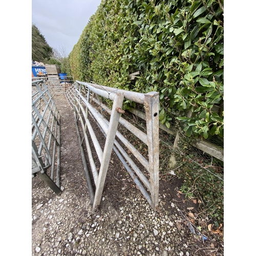 24 - TWO GALVANISED GATES, ONE 12' AND ONE 13'  - + 
 VAT