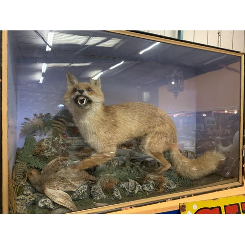 42 - A VERY LARGE GLASS CASED FOX AND PARTRIDGE TAXIDERMY 67CM X 104CM