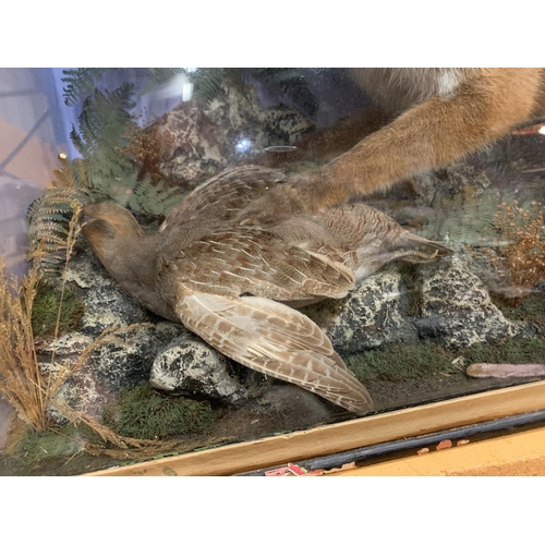 42 - A VERY LARGE GLASS CASED FOX AND PARTRIDGE TAXIDERMY 67CM X 104CM