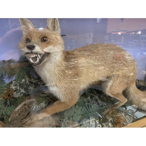 42 - A VERY LARGE GLASS CASED FOX AND PARTRIDGE TAXIDERMY 67CM X 104CM