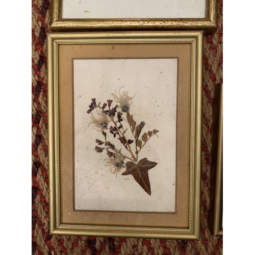 199 - FIVE SMALL FRAMED PICTURES DEPICTING FLOWERS AND A FRAMED CASH'S SILK OF A ROBIN