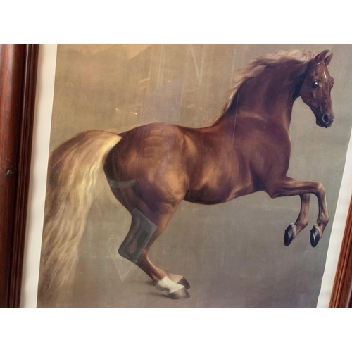 270 - A  FRAMED PRINT 'WHISTLEJACKET' BY GEORGE STUBBS 1724-1806 (92 CMS X 72 CMS