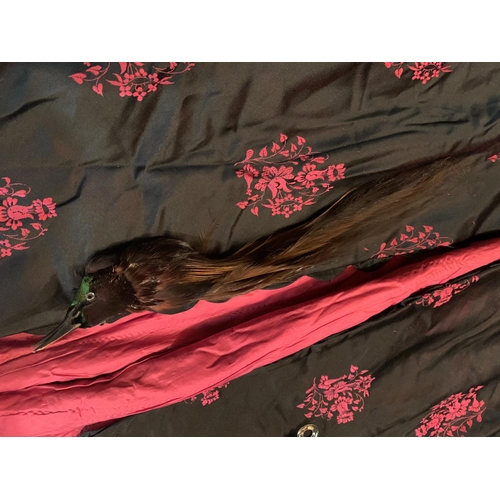 62 - TWO VINTAGE SHAWLS, AN ERMINE AND FEATHERS AND A BIRD TAXIDERMY FOR DECORATION
