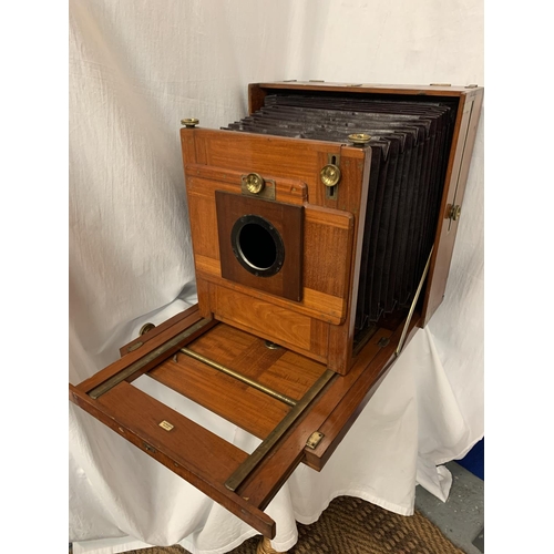 2 - A LARGE STEREOSCOPIC & CO LTD MAHOGANY AND BRASS CAMERA (WITHOUT LENS)