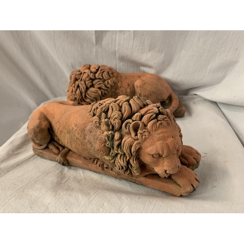 34 - A PAIR OF TERRACOTTA DOORSTOPS/BOOKENDS IN THE FORM OF LIONS L:30CM