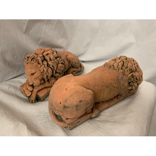 34 - A PAIR OF TERRACOTTA DOORSTOPS/BOOKENDS IN THE FORM OF LIONS L:30CM