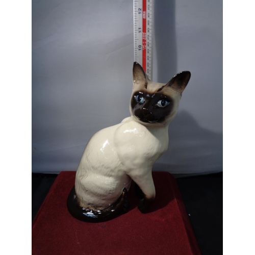 748 - A VERY LARGE BESWICK FIGURINE OF A SIAMESE CAT 9.5 INCHES TALL