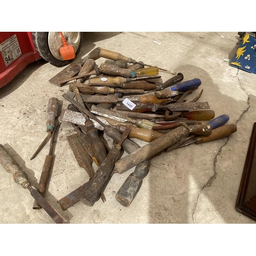 1445 - A LARGE ASSORTMENT OF WOOD CHISELS