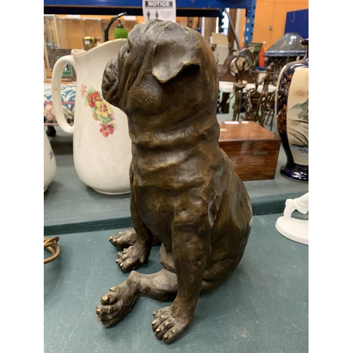 105 - A LARGE BRONZE SCULPTURE OF A PUG SEATED - H:35CM