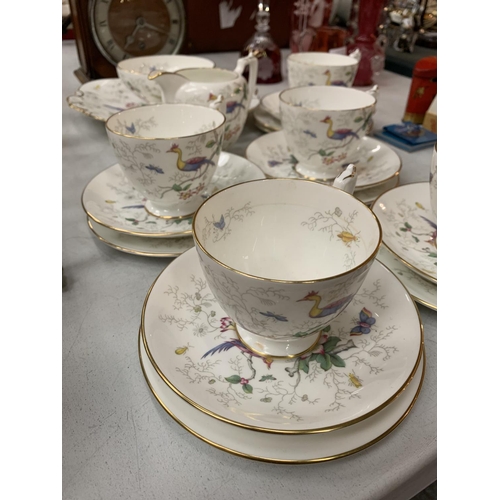 183 - A COALPORT 'PARADISE' TEA SET TO INCLUDE FIVE TRIOS, A CREAMER, SUGAR BOWL AND PLATE