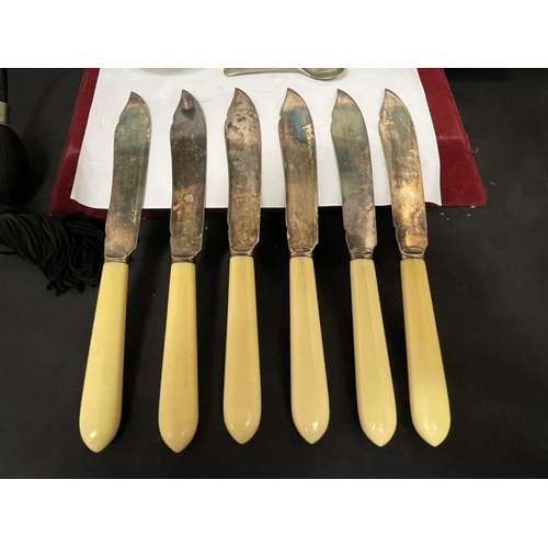 788 - A SET OF BONE HANDLED FISH KNIVES AND FORKS IN A PRESENTATION BOX, A SILVER PLATED COFFEE POT, CUT G... 