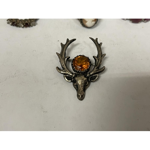 793 - NINE VARIOUS MARKED SILVER RINGS AND A STAGS HEAD BROOCH