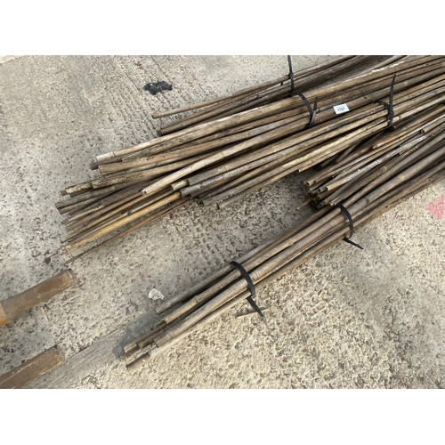 1767 - A LARGE QUANTITY OF VARIOUS SIZED GARDEN CANES