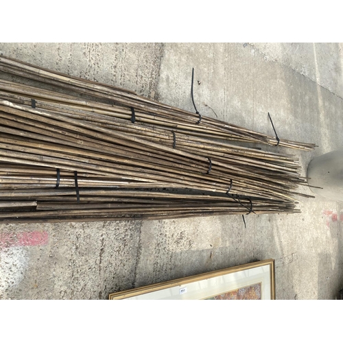 1767 - A LARGE QUANTITY OF VARIOUS SIZED GARDEN CANES