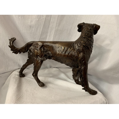 64 - A LARGE BRONZE SCULPTURE OF A GUN DOG - H:36CM