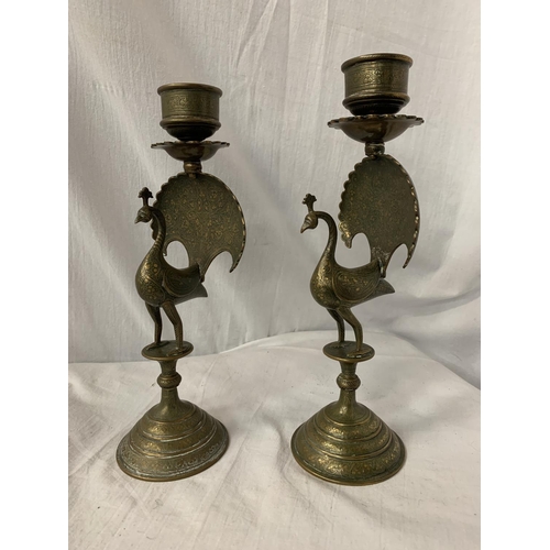 7 - A PAIR OF BRASS CANDLESTICKS IN THE FORM OF PEACOCKS H: 31CM