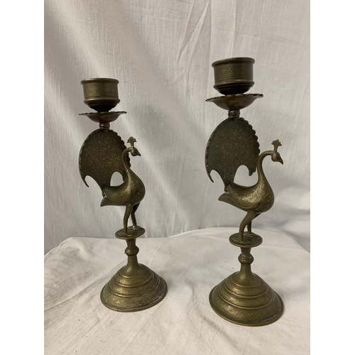 7 - A PAIR OF BRASS CANDLESTICKS IN THE FORM OF PEACOCKS H: 31CM