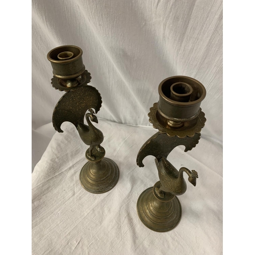 7 - A PAIR OF BRASS CANDLESTICKS IN THE FORM OF PEACOCKS H: 31CM