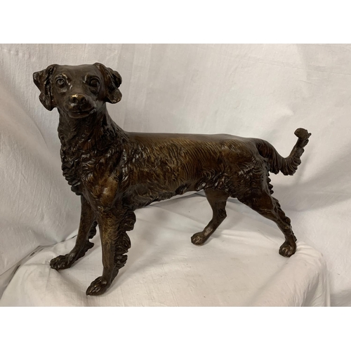 64 - A LARGE BRONZE SCULPTURE OF A GUN DOG - H:36CM