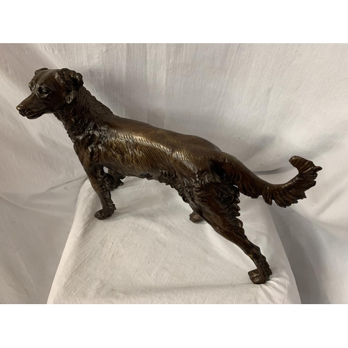 64 - A LARGE BRONZE SCULPTURE OF A GUN DOG - H:36CM