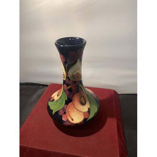 777 - A MOORCROFT QUEENS CHOICE VASE 7 INCHES TALL