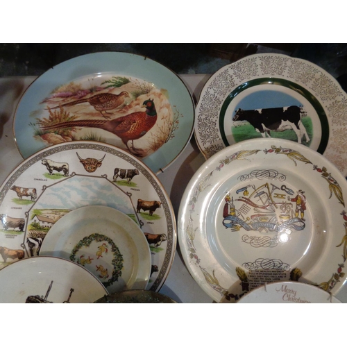 805 - THIRTEEN COLLECTORS PLATES, SIX AGRICULTURAL RELATED TO INCLUDE A 'GOD SPEED THE PLOUGH'