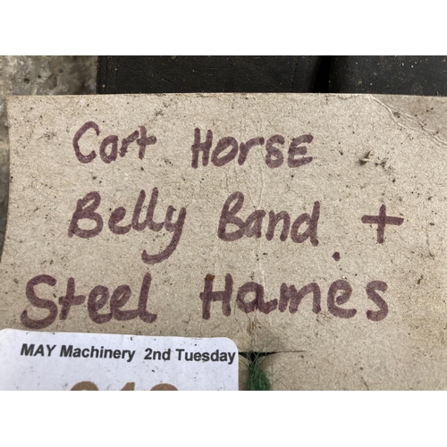 318 - A CART HORSE BELLY BAND AND STEEL HAMES NO VAT