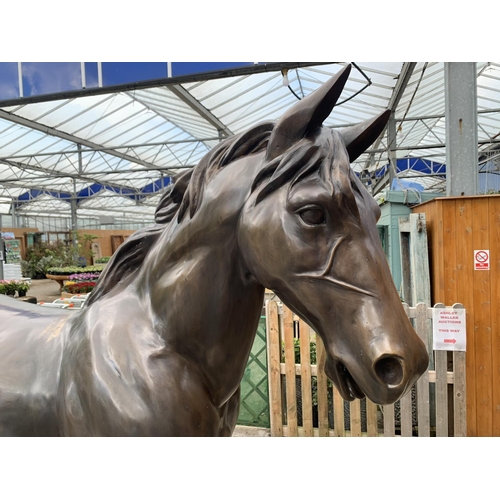 1201 - A LIFE-SIZE BRONZE HORSE FIGURE STANDING AT 13 HANDS HIGH