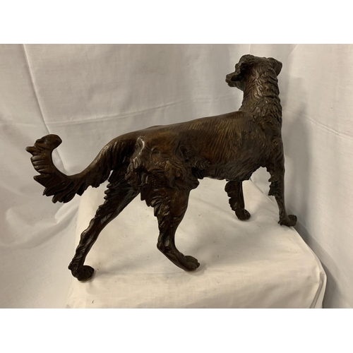 18 - A LARGE BRONZE SCULPTURE OF A GUN DOG - H:36CM