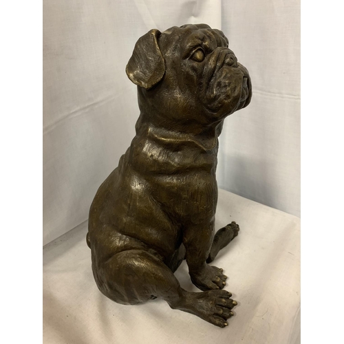 47 - A LARGE BRONZE SCULPTURE OF A PUG SEATED - H:35CM