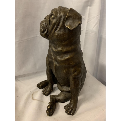 47 - A LARGE BRONZE SCULPTURE OF A PUG SEATED - H:35CM