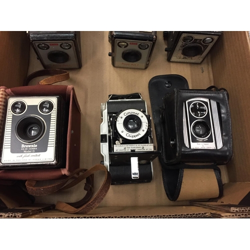 113 - A LARGE COLLECTION OF BROWNIE CAMERAS