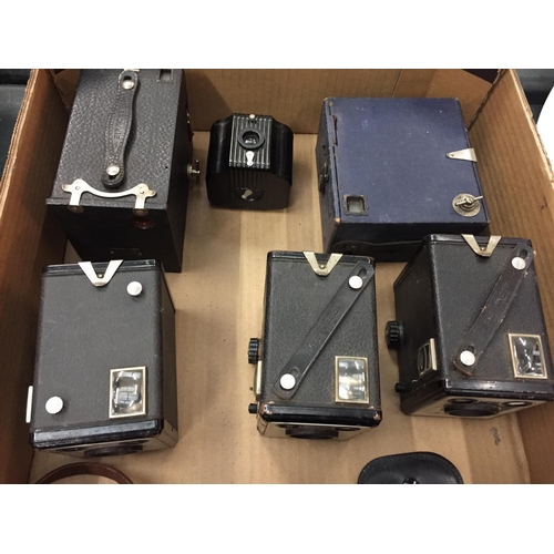 113 - A LARGE COLLECTION OF BROWNIE CAMERAS