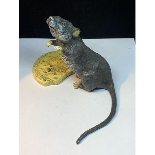 150A - A COLD PAINTED BRONZE RAT FIGURINE EATING A BISCUIT H: 13CM