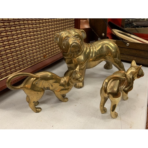 240 - THREE BRASS ANIMALS TO INCLUDE A LARGE BULLDOG AND TWO CATS