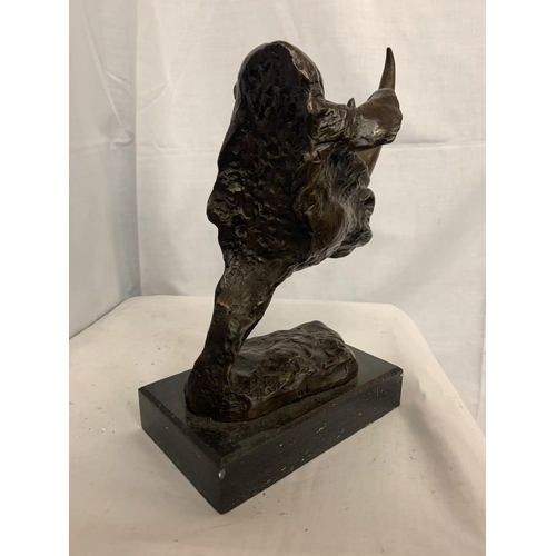 194 - A LARGE BRONZE RHINO BUST ON A MARBLE BASE H:32CM