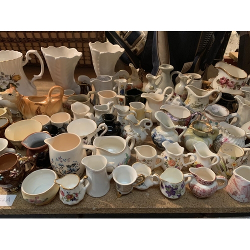 254A - A VERY LARGE COLLECTION OF MIXED SIZED JUGS IN VARIOUS STYLES