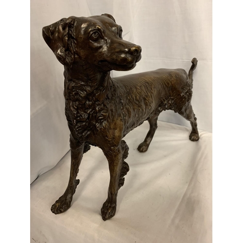 18 - A LARGE BRONZE SCULPTURE OF A GUN DOG - H:36CM