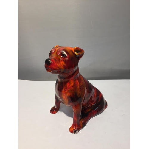 701 - A HAND PAINTED ANITA HARRIS STAFFY DOG