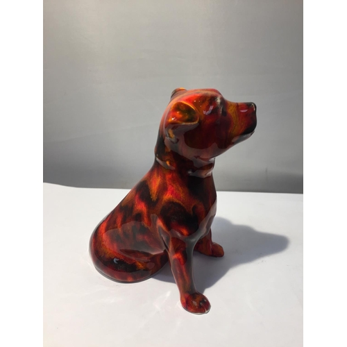 701 - A HAND PAINTED ANITA HARRIS STAFFY DOG